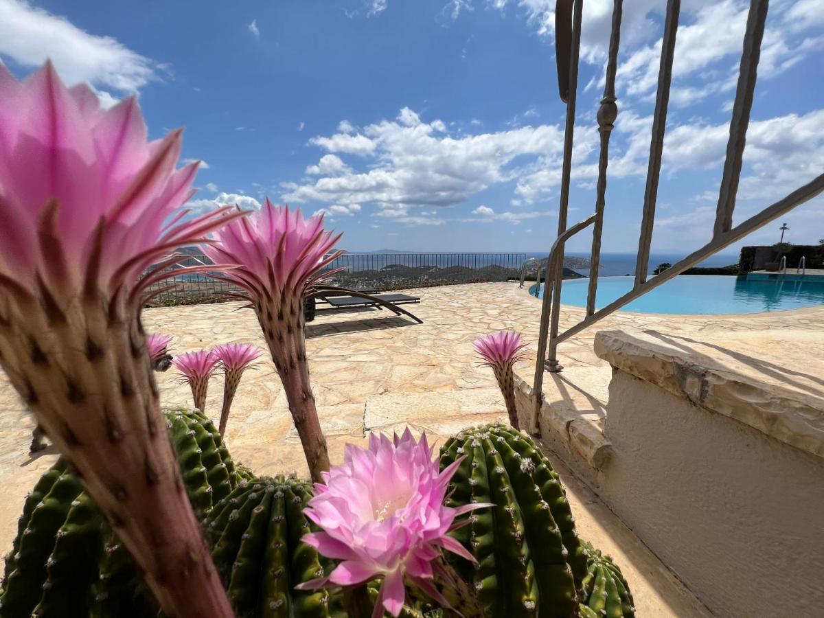 Endless Blue Villa Anavyssos Luaran gambar